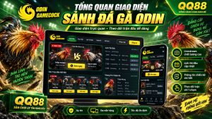 Tổng quan giao diện sảnh Đá Gà Odin