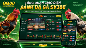 Tổng quan giao diện sảnh Đá Gà SV388