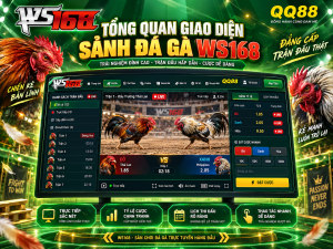 Tổng quan giao diện sảnh Đá Gà WS168